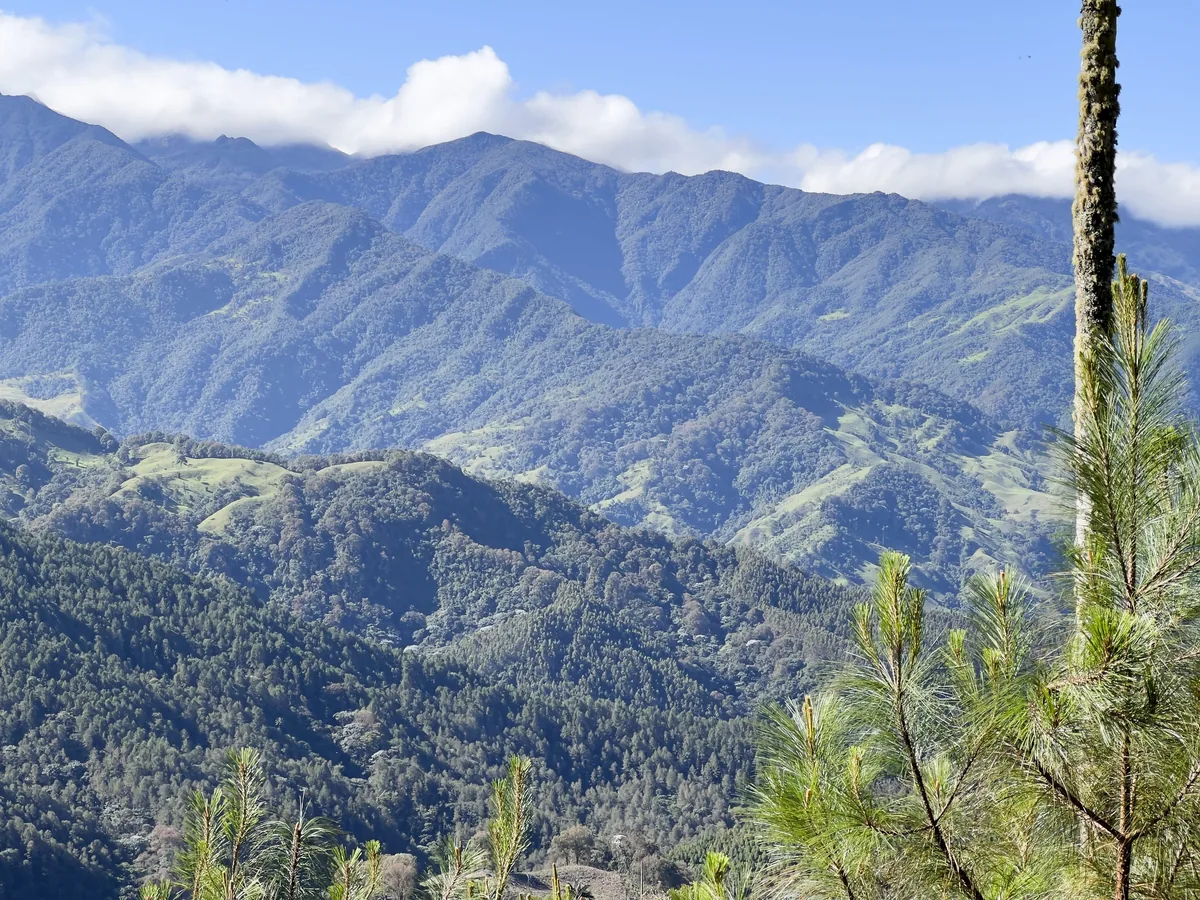 La cordillera Central, en los alrededores de Rancho San Antonio