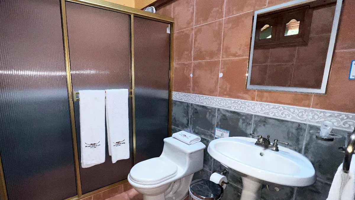 Ba&ntilde;o privado con ducha, toallas y lavamanos